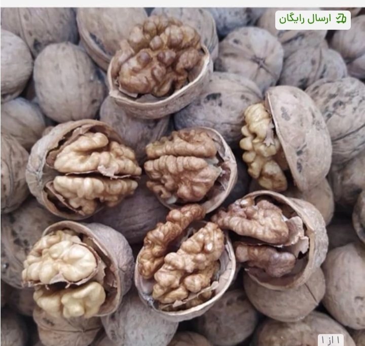 تصویر 3 از خرید عمده گردوی شبستر با پوست تازه شکننده + خرید عمده و خرده برای تجارت داخلی
