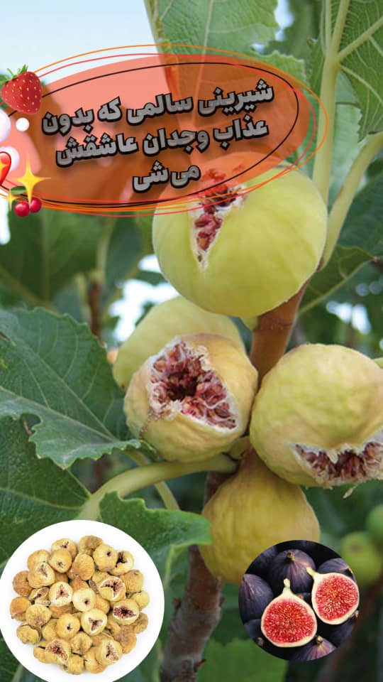 تصویر 1 از خشکبار مرغوب + قیمت مناسب