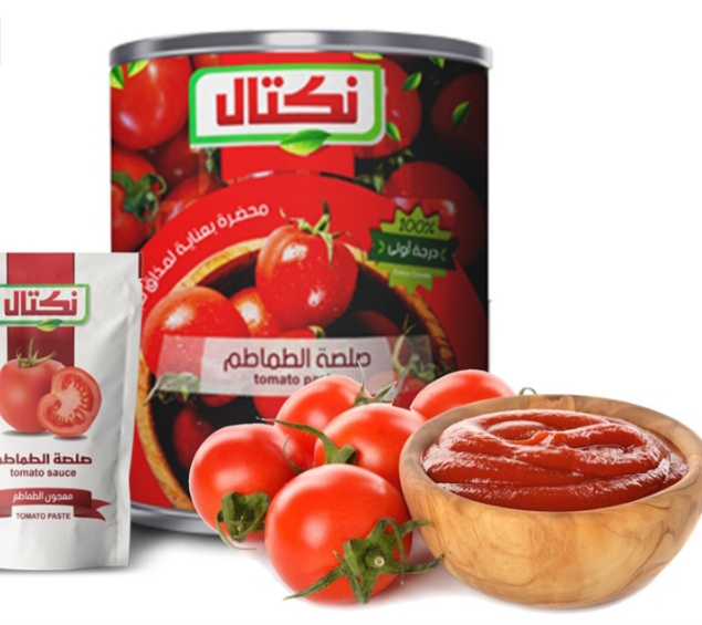 تصویر 3 از رب گوجه‌ فرنگی اسپتیک صادرات به ترکیه + کوتاه ترین زمان