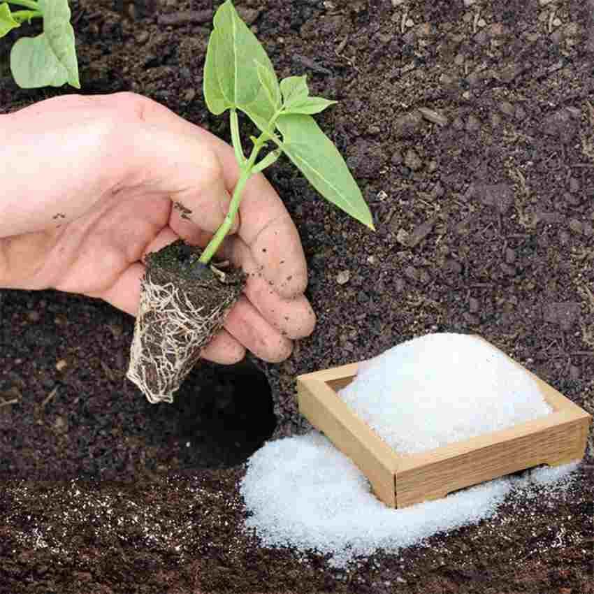 تصویر 1 از خرید خاک ژله‌ ای با کیفیت صادراتی و قیمت اقتصادی