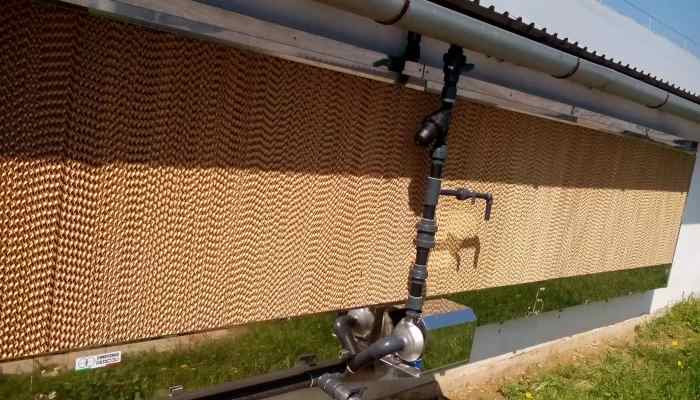 تصویر 2 از قیمت پد سلولزی 7090 ابعاد 60×150 و ضخامت 10 و 15 + پخش تولیدی عمده کارخانه