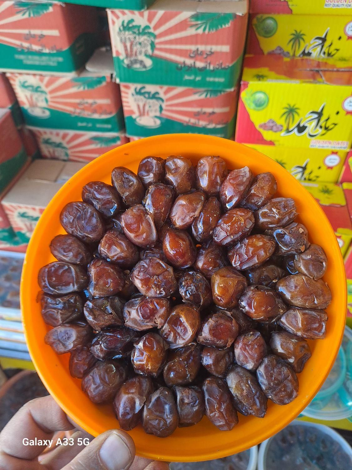 خرمای خاصویی تازه بوشهر؛ ستاره‌ ای در بین خرما های ریز مغز ایرانی