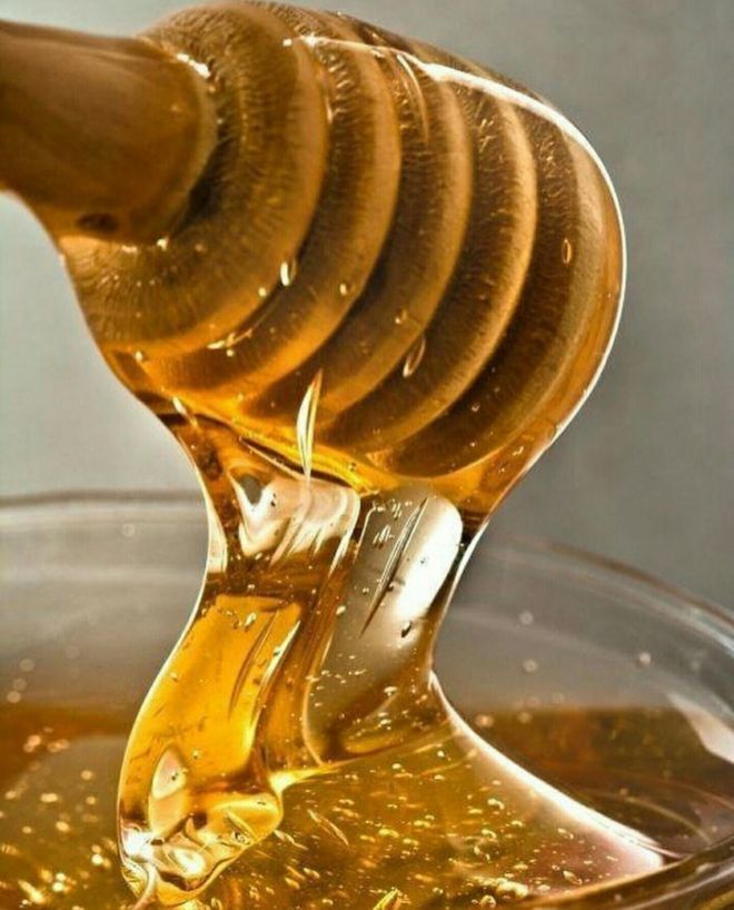 تصویر 2 از قیمت خرید مستقیم عسل شمال هانیوا از زنبور دار