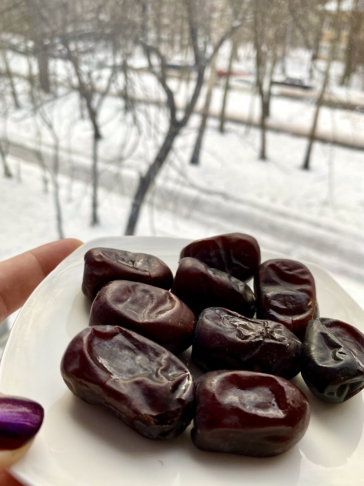 قيمت دقيق خرمای مضافتی