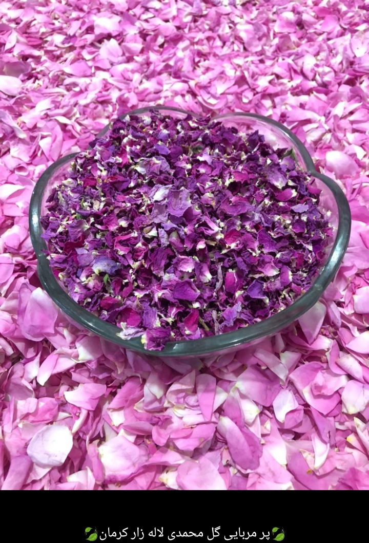 غنچه گل محمدی