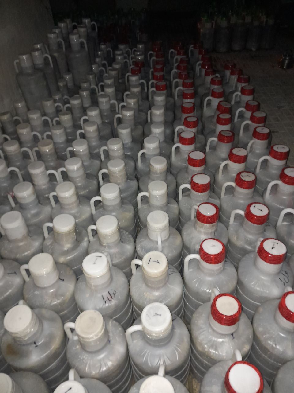 خرید خیارشور