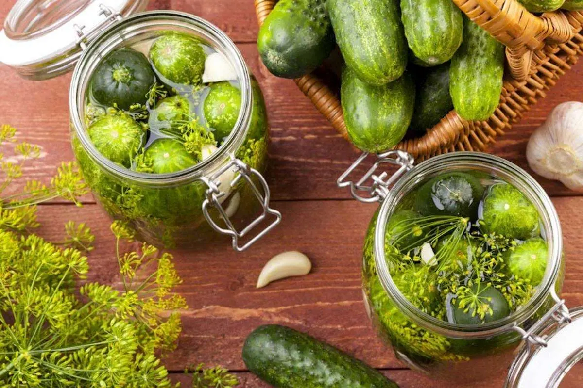 تصویر 3 از فروش بدون واسطه خیارشور و ترشیجات + عمده و ارزان