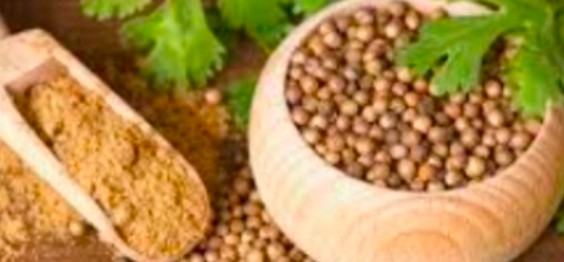 قیمت بذر