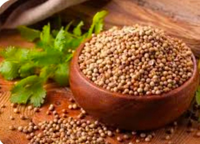 تصویر 1 از خرید پودر مغذی و معطر گشنیز از آناهیتا گشنیز