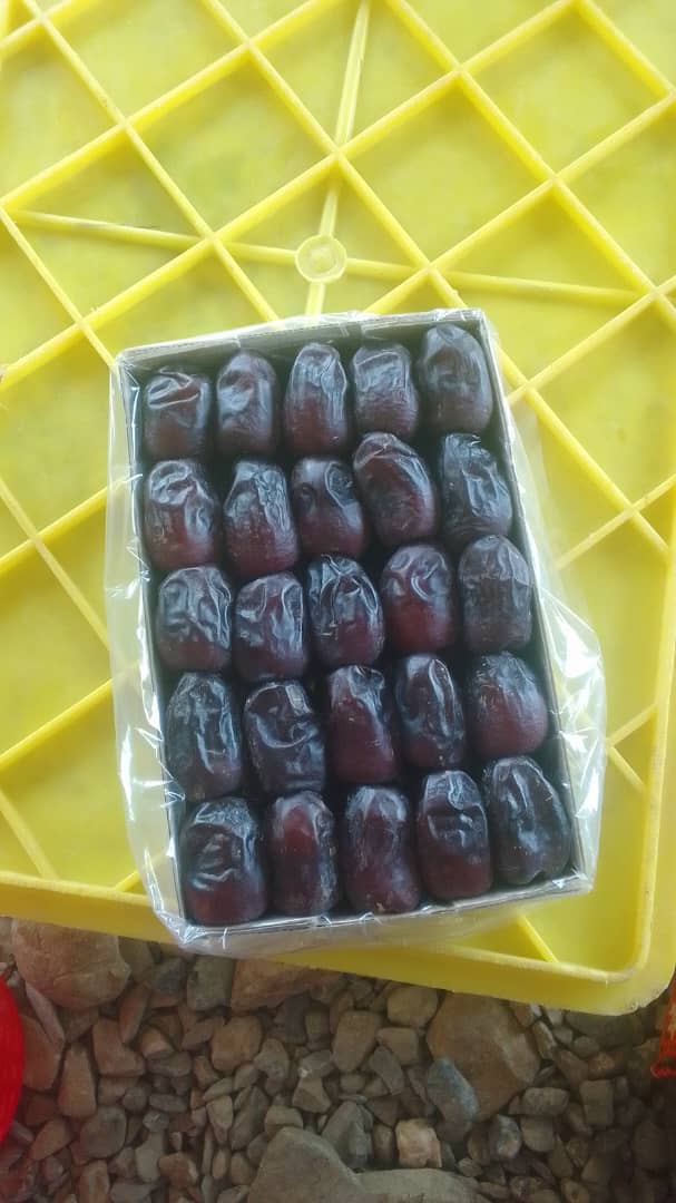 تصویر 2 از فروش مستقیم خرما مضافتی از تولید به مصرف