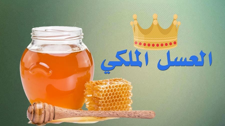 تصویر 3 از فروش عسل صنعتی هانیوا با شرایط استثنایی