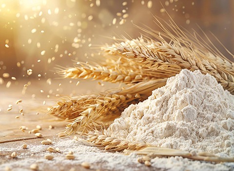 تصویر 2 از فروش سویق گندم خرما + قیمت خرید به صرفه
