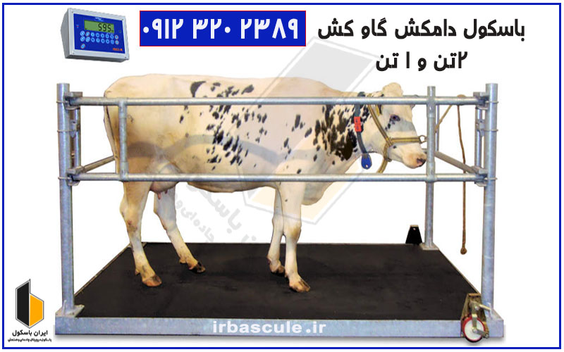 باسکول دام کش ۱۲۰۰ کیلویی برای گاو و گوساله قیمت
