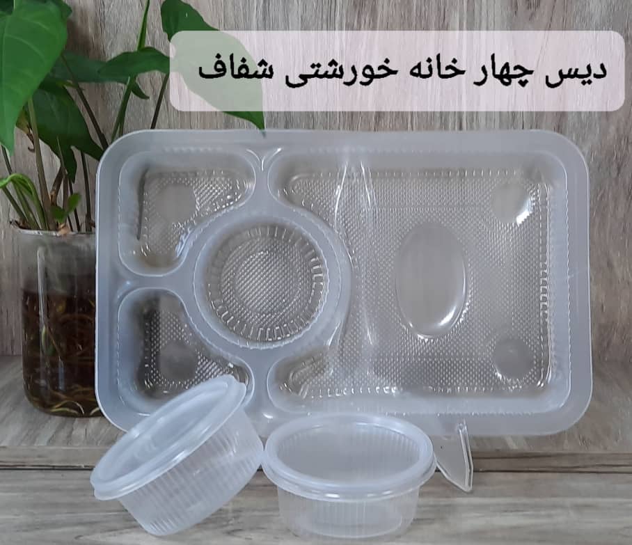 تصویر 1 از دیس یکبار مصرف بیضی گیاهی