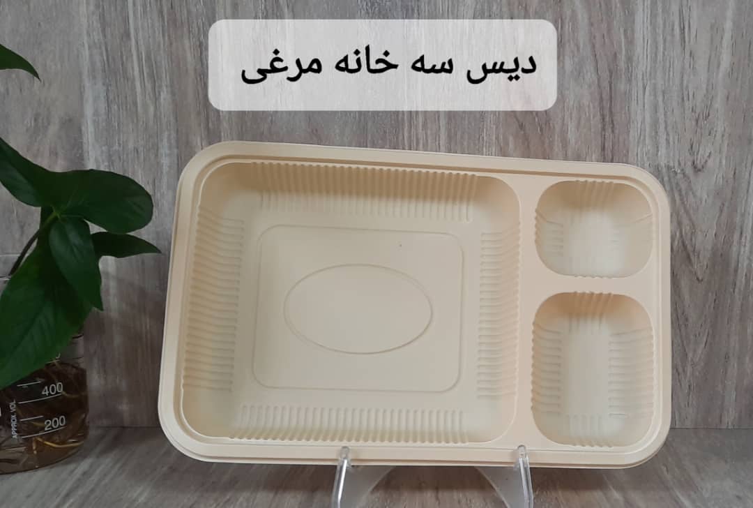 تصویر 6 از دیس یکبار مصرف بیضی گیاهی