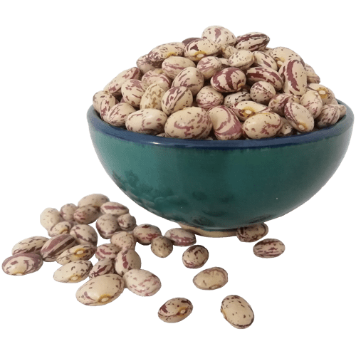 لوبیا چیتی تازه خرید