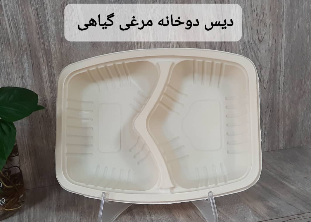 تصویر 1 از دیس یکبار مصرف دو خانه گیاهی مخصوص کباب + خرید