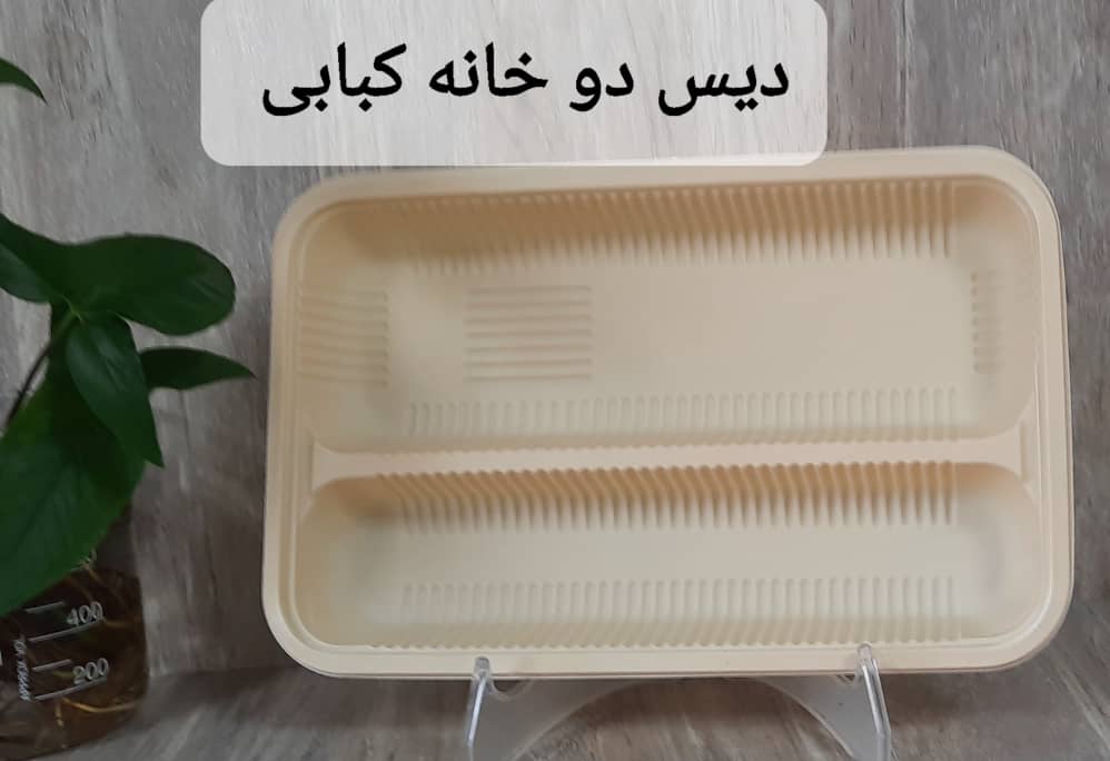 تصویر 3 از دیس یکبار مصرف دو خانه گیاهی مخصوص کباب + خرید