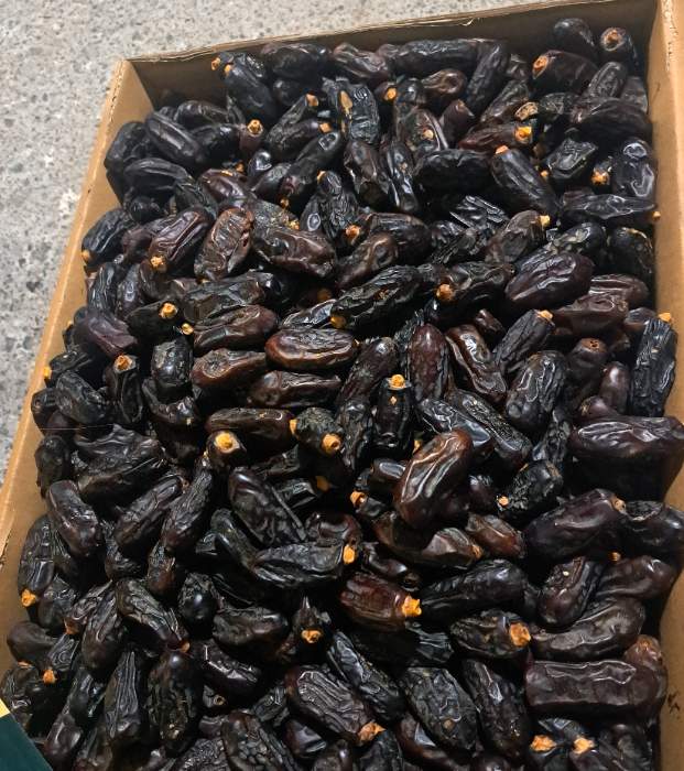 تصویر 2 از خرید و قیمت ارزان خرما ربی بلوچستان + صادراتی