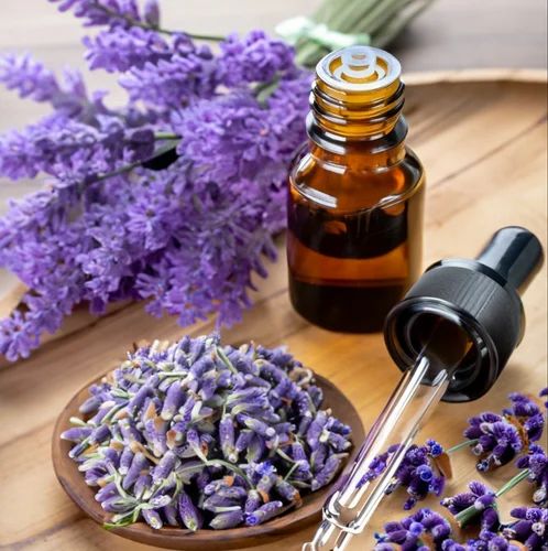 تصویر 1 از فروش عمده اسطوخودوس + گیاه دارویی و معطر با کیفیت صادراتی