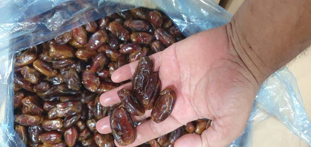 تصویر 1 از قیمت خرما استعمران خوزستان + فروش فوق العاده
