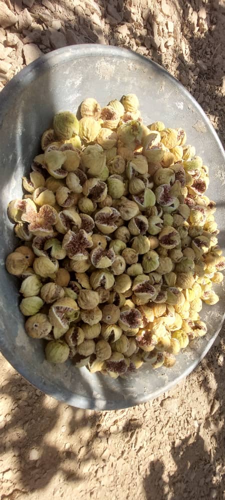تصویر 5 از لیست خرید انجیر خشک درجه یک استهبان + قیمت فروش