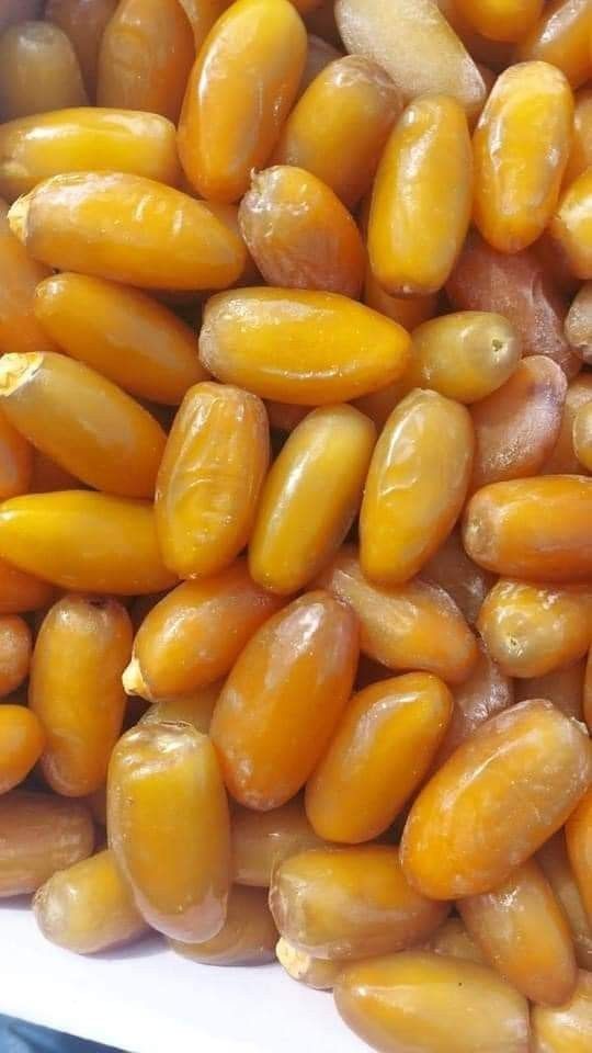 خرما شاهانی صادراتی خاوران + خرید مستقیم از باغدار
