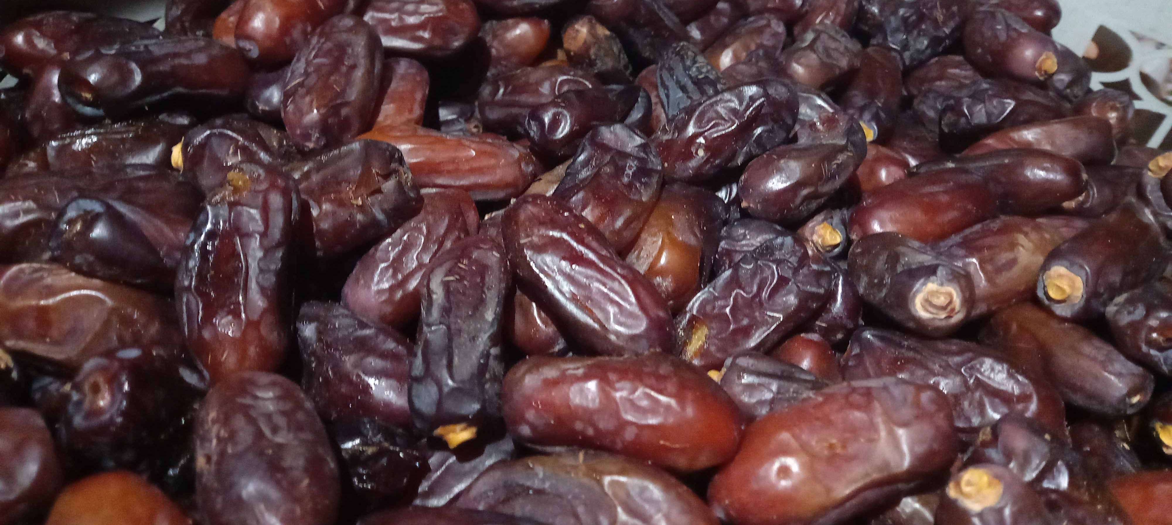 تصویر 1 از فروش‌ خرما‌ ربی بلوچستان‌ + قیمت‌ مناسب‌ و ارزان‌