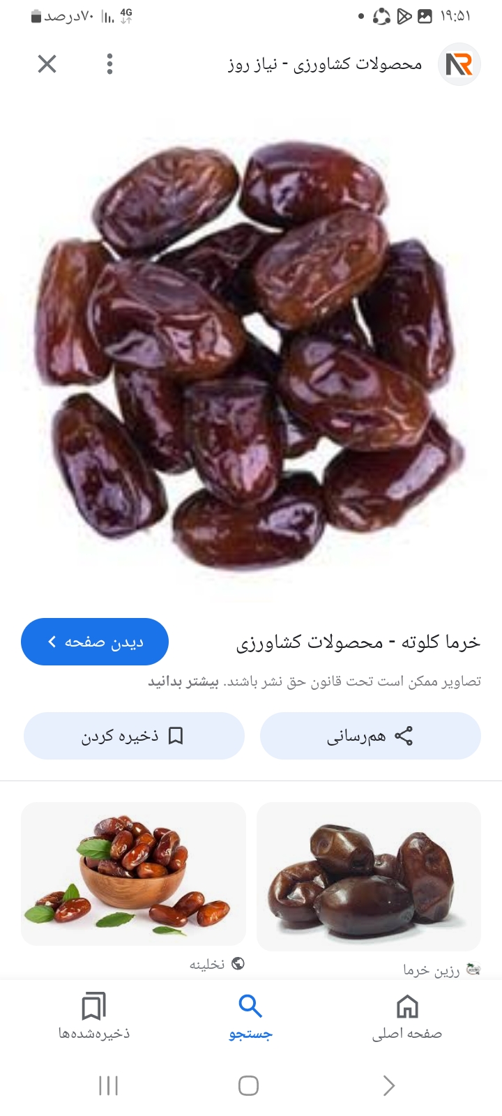 تصویر 1 از خرید و فروش خرما کلوته + قیمت