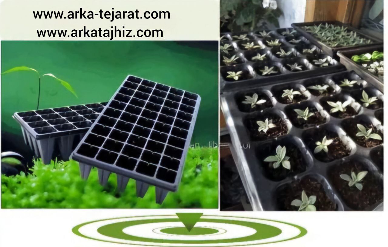 تصویر 5 از قیمت و خرید سینی کشت نشاء گوجه‌فرنگی + فروش ویژه