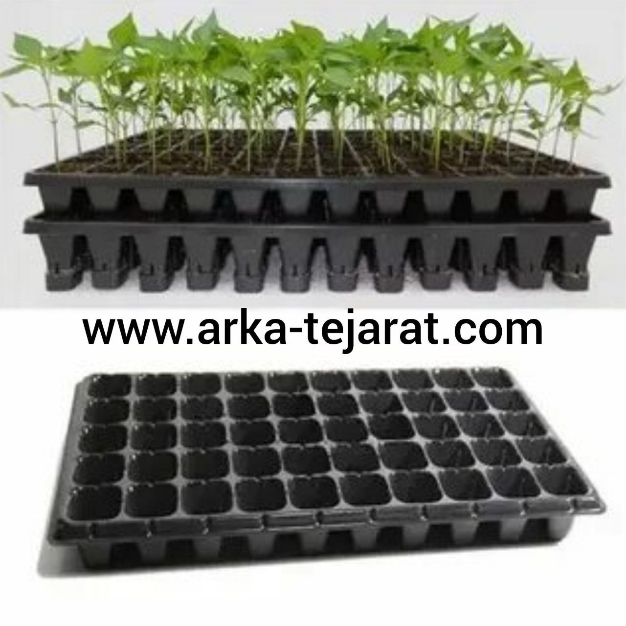 تصویر 2 از فروش ویژه انواع سینی کاشت بذر + قیمت خرید به‌صرفه