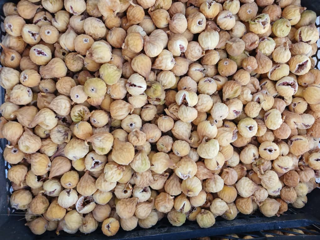 تصویر 1 از لیست خرید انجیر خشک سالم + قیمت فروش
