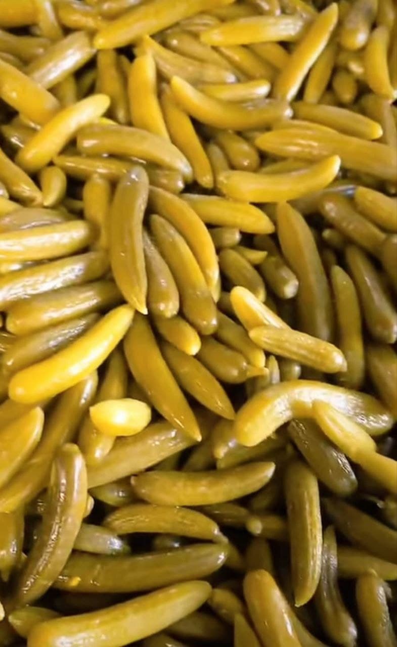 قیمت خرید خیارشور ویژه ارزشمند + فروش سریع