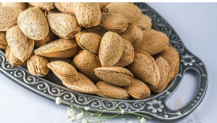 خرید بادام سنگی با پوست + قیمت استثنایی