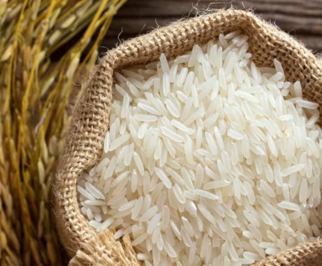 تصویر 1 از قیمت خرید برنج طارم هاشمی مرغوب و درجه یک + خرید باور نکردنی