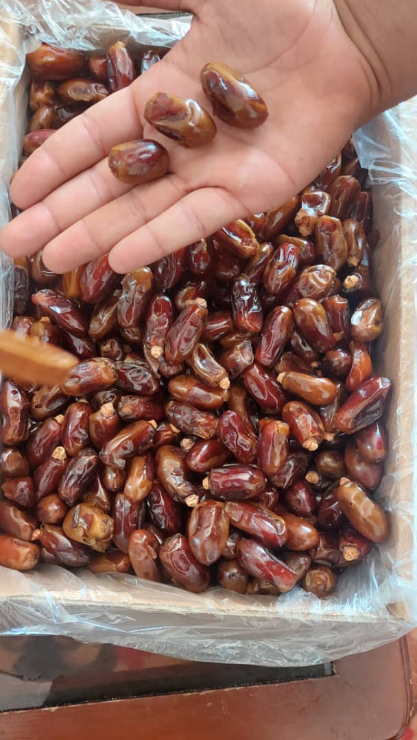 تصویر 2 از خرمای استعمران ارگانیک شادگان صادراتی + خرید مستقیم و تضمینی