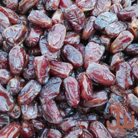 تصویر 1 از خرید و فروش عمده خرمای استعمران شادگان + تازه و مرغوب