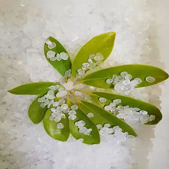 پارافین جامد
