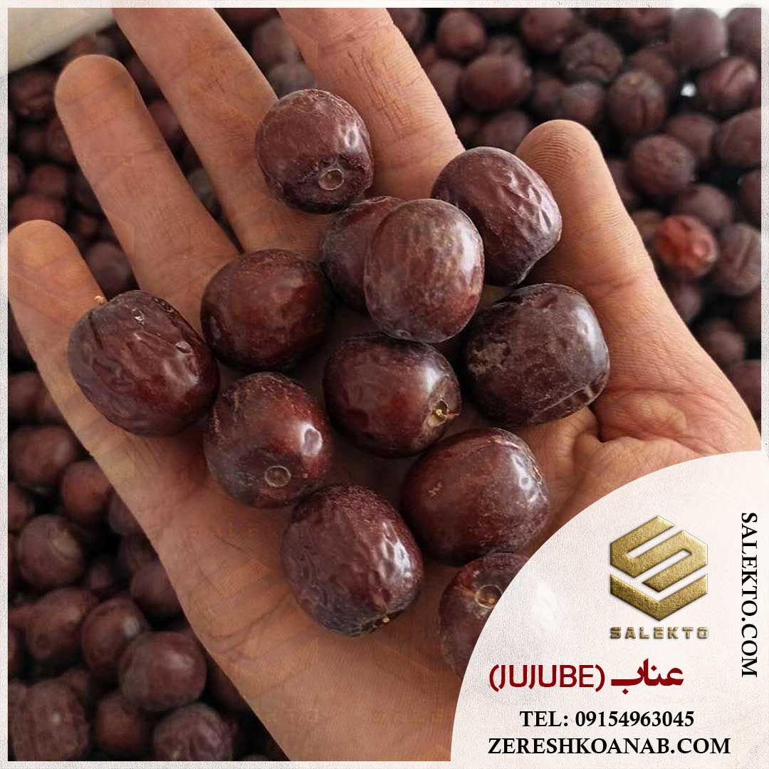تصویر 1 از خرید عناب خشک بیرجند با کیفیت ممتاز + قیمت ارزان و فروش فوق‌ العاده