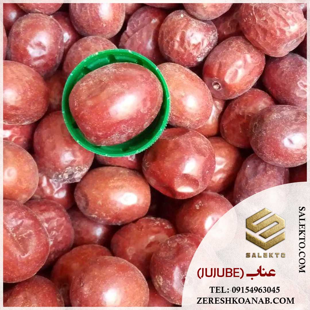 تصویر 2 از قیمت عناب خشک خراسان جنوبی با بافت ترد + خرید عمده و شرایط صادراتی