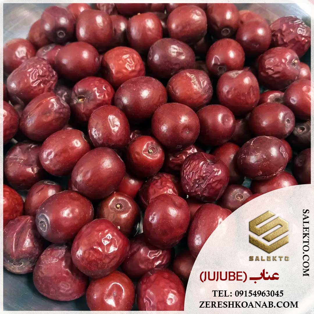 تصویر 1 از فروش عناب تازه قاینات با عطر طبیعی + خرید به‌ صرفه و قیمت شگفت‌ انگیز