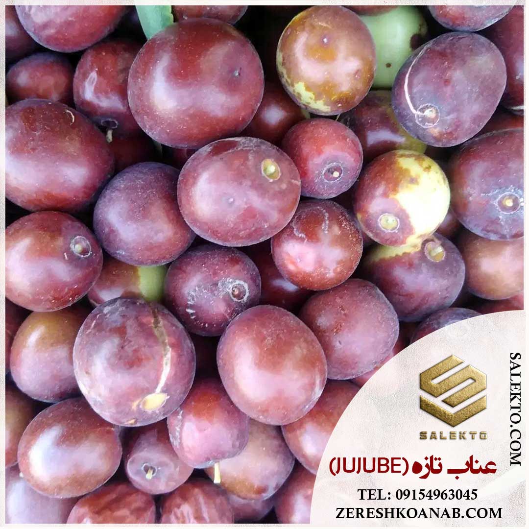 تصویر 2 از فروش عناب تازه قاینات با عطر طبیعی + خرید به‌ صرفه و قیمت شگفت‌ انگیز