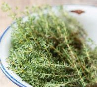 تصویر 4 از فروش عمده آویشن باغی + قیمت رقابتی