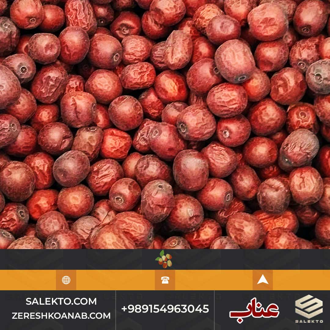 تصویر 2 از قیمت عناب تازه خراسان جنوبی با خواص دارویی + خرید عمده و صادرات به اروپا