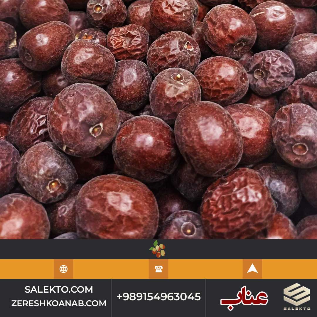 تصویر 4 از فروش عناب خشک قاینات با کیفیت درجه یک + قیمت مقرون‌ به‌ صرفه و خرید مستقیم