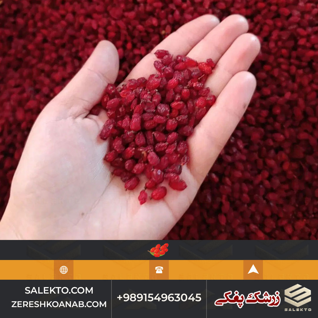 قیمت زرشک پفکی ارگانیک خراسان جنوبی + خرید ویژه و صادرات به بازارهای جهانی