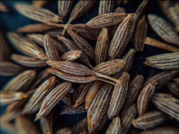 تصویر 5 از خرید زیره سیاه خوش‌ طعم تمیز
