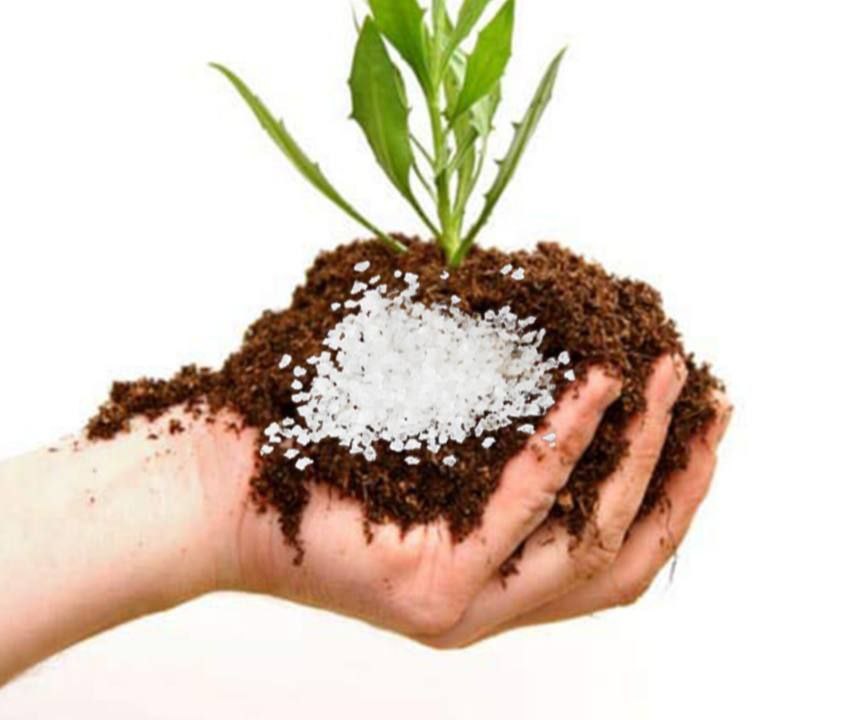تصویر 3 از خرید هیدروژل سازگار با محیط زیست برای کشاورزی پایدار