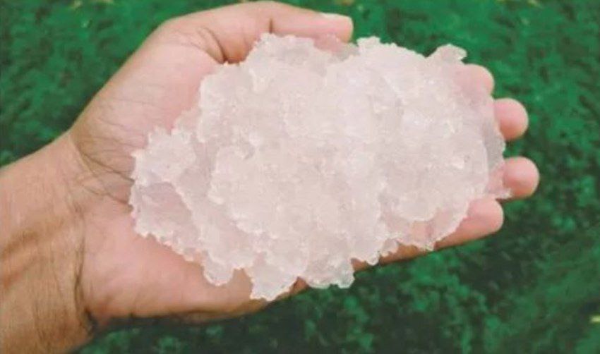 تصویر 3 از خرید سوپر جاذب مخصوص باغچه و گلدان + صرفه‌ جویی در مصرف آب خانگی