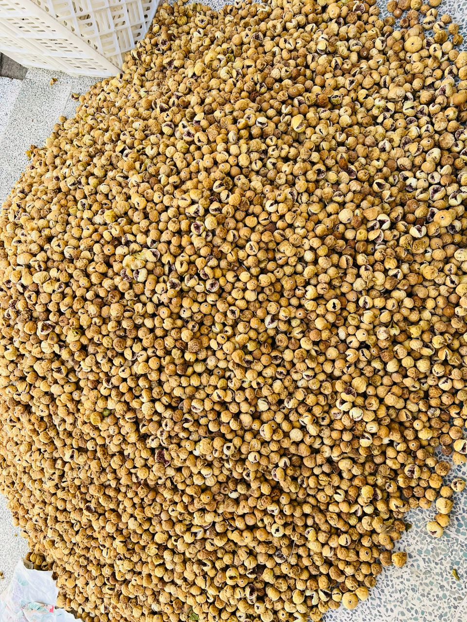 خرید عمده انجیر دیم استهبان فارس + قیمت مستقیم تولید کننده
